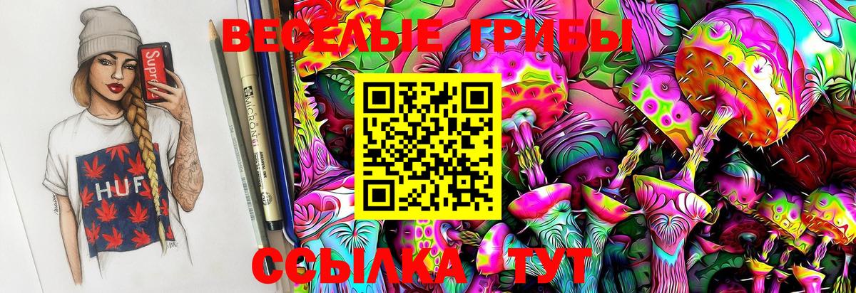 Кувандык  Галлюциногенные грибы MAGIC MUSHROOMS  Вход с VPN 