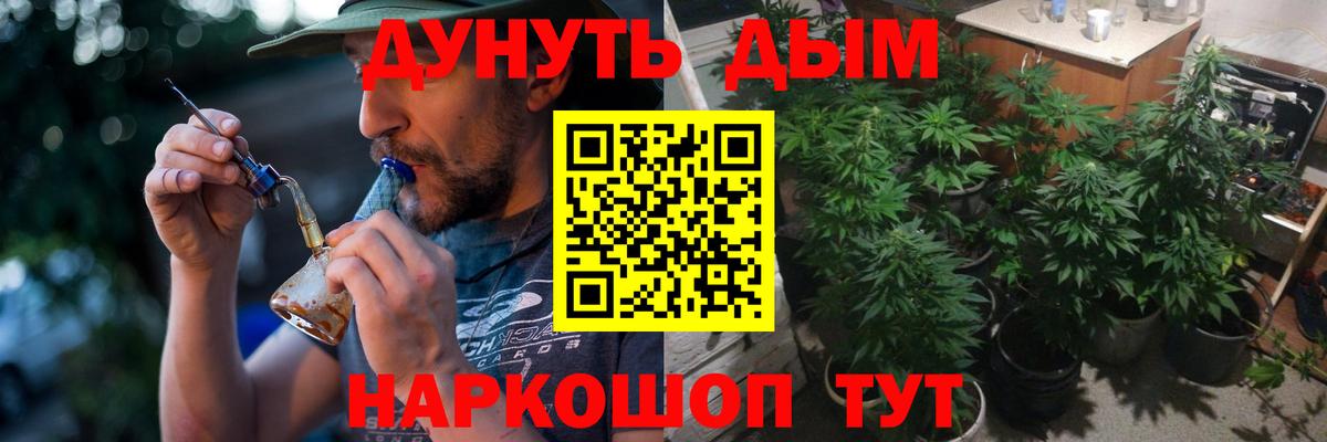 Бошки Шишки THC 21%  Бошки Шишки тримм  Вход с VPN  Кувандык 